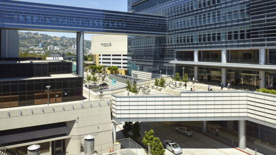 Cedars Sinai Photo