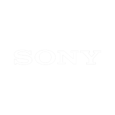 Sony Case Study Page